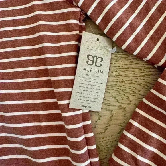 Albion Men’s Striped Hoodie Terracotta Medium $88 - Picture 2 of 6